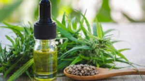 best CBD for dogs