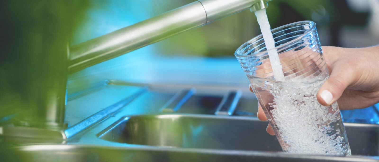 free water test